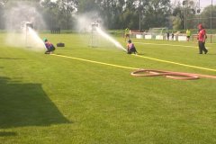 WP_20190831_10_28_26_Pro
