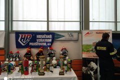 IMG_20200229_083709