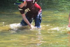 img_2515