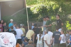 img_2643